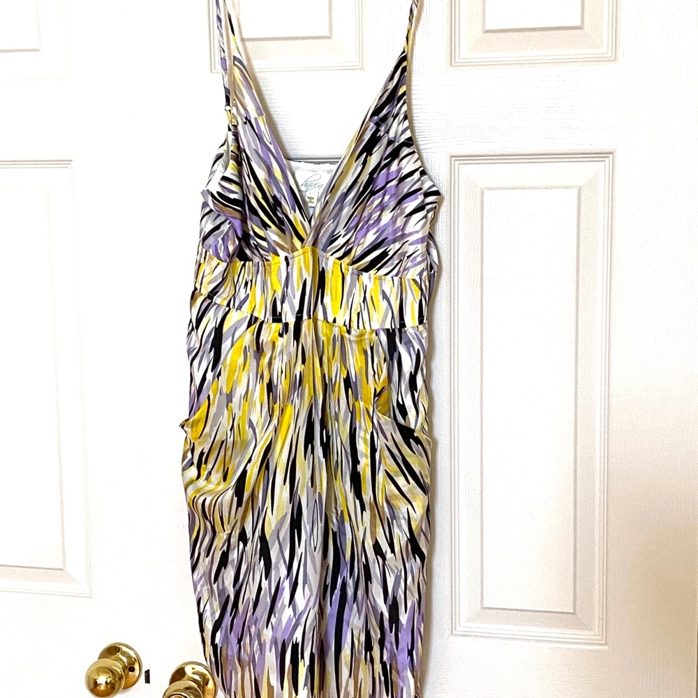 NWT 💕Silk Dress by Haven